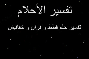 تفسير قطط و فران و خفافيش في المنام تفسير قطط و فران و خفافيش في المنام