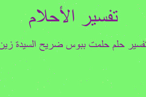 تفسير حلمت ببوس ضريح السيدة زين في المنام