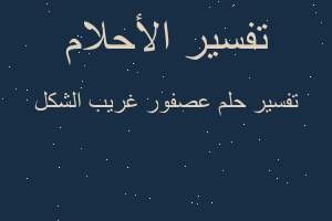 تفسير عصفور غريب الشكل في المنام