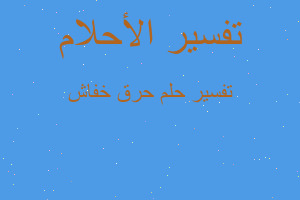 تفسير حرق خفاش في المنام