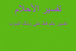 تفسير قط على وشك الموت في المنام تفسير قط على وشك الموت في المنام