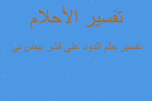 تفسير الدود علي قشر بيض ني في المنام