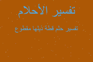 تفسير قطة ذيلها مقطوع في المنام