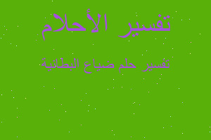 تفسير ضياع البطانية في المنام تفسير ضياع البطانية في المنام