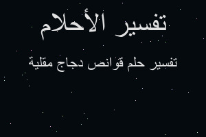 تفسير قوانص دجاج مقلية في المنام