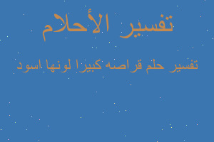 تفسير قراصه كبيرا لونها اسود في المنام تفسير قراصه كبيرا لونها اسود في المنام