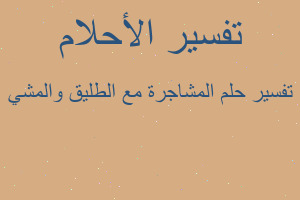 تفسير المشاجرة مع الطليق والمشي في المنام