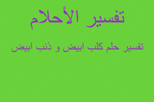 تفسير كلب ابيض و ذئب ابيض في المنام