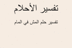 تفسير المش في المام في المنام