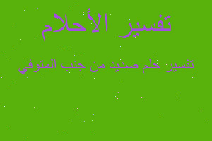 تفسير صديد من جنب المتوفي في المنام