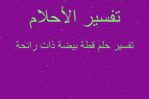 تفسير قطة بيضة ذات رائحة في المنام