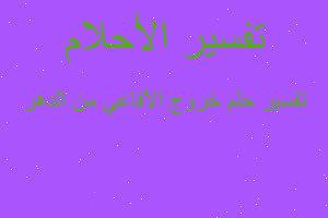 تفسير خروج الأفاعي من الدهر في المنام تفسير خروج الأفاعي من الدهر في المنام