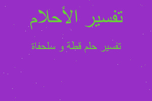 تفسير قطة و سلحفاة في المنام تفسير قطة و سلحفاة في المنام