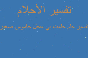 تفسير حلمت بي عجل جاموس صغير في المنام تفسير حلمت بي عجل جاموس صغير في المنام