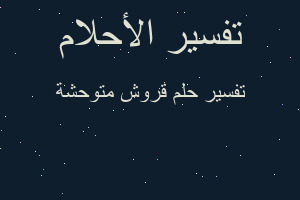 تفسير قروش متوحشة في المنام تفسير قروش متوحشة في المنام